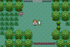 Ubicación de Celebi en Pokémon Quetzal