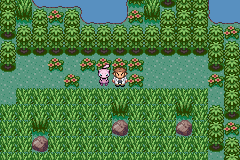 Ubicación de Mew en Pokémon Quetzal