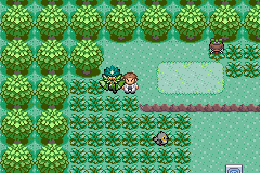 Ubicación de Ogerpon en Pokémon Quetzal