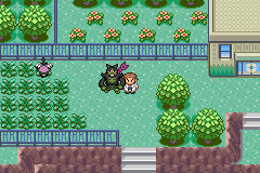 Ubicación de Okidogi en Pokémon Quetzal