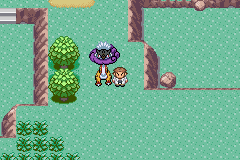 Ubicación de Raging Bolt en Pokémon Quetzal