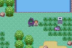 Ubicación de Walking Wake en Pokémon Quetzal