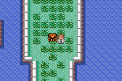 Ubicación de Zapdos de Galar en Pokémon Quetzal