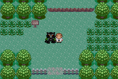 Ubicación de Zarude en Pokémon Quetzal