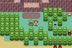 Ubicación de Zeraora en Pokémon Quetzal